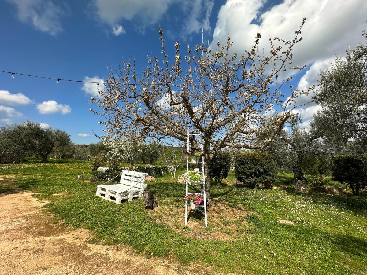 Trulli Barsento Konuk evi Alberobello Dış mekan fotoğraf