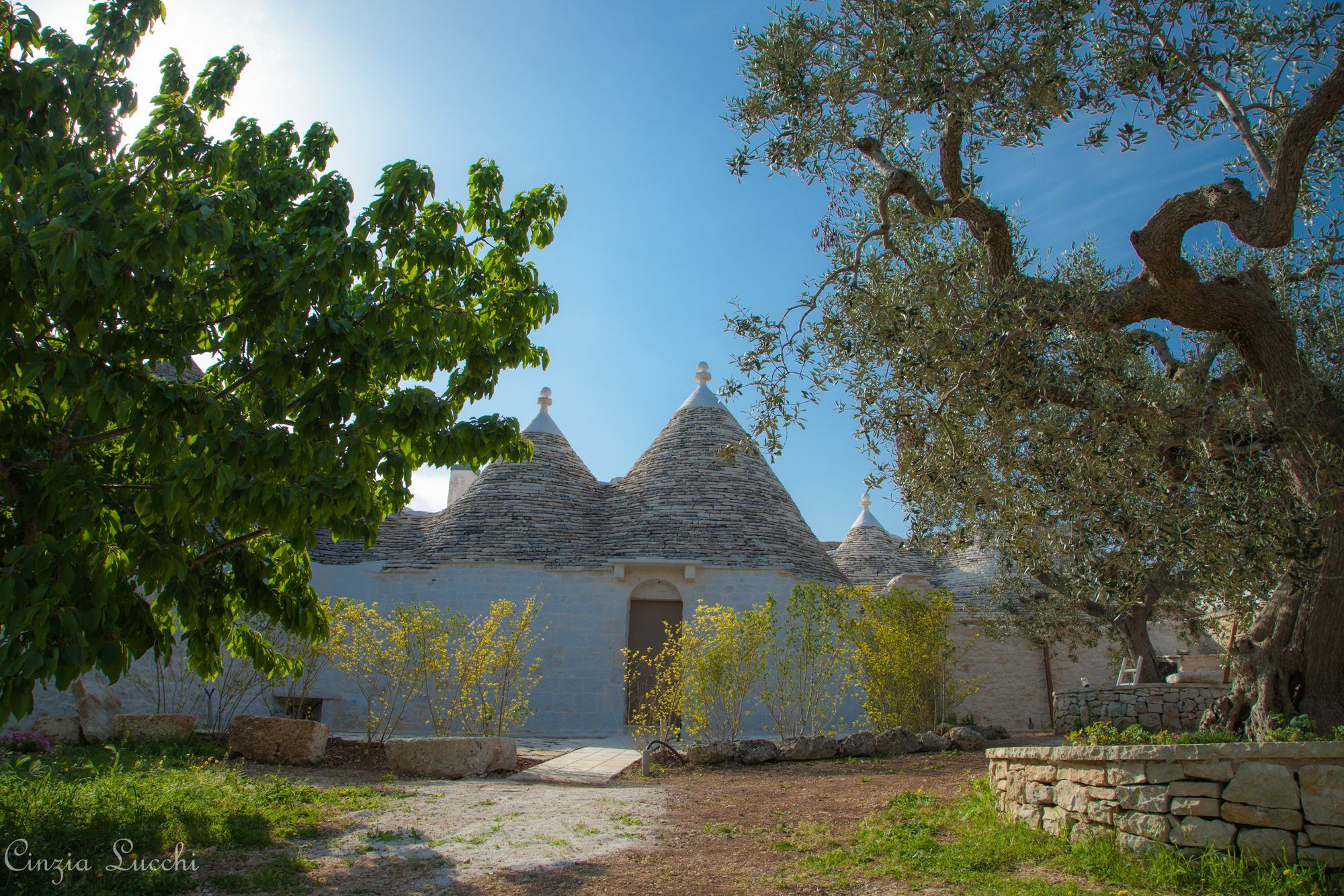 Trulli Barsento Konuk evi Alberobello Dış mekan fotoğraf